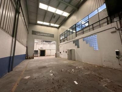 Nave industrial con cámaras de congelación en Alto Nervión - Arrigorriaga